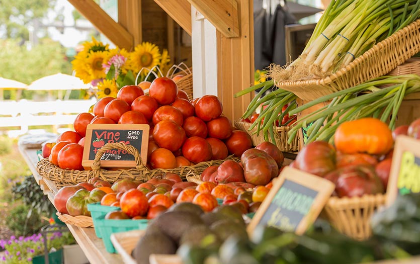 https://emi.parkview.com/media/Image/Dashboard_835_Picking-fruits-and-veggies_9_23.jpeg