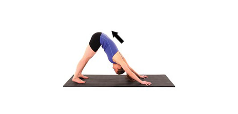 downward dog
