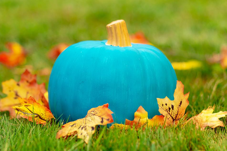 Teal Pumpkin