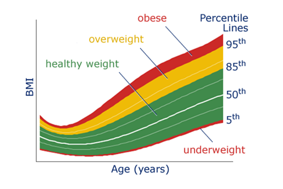 BMI chart