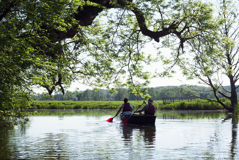 Paddle for Parkview