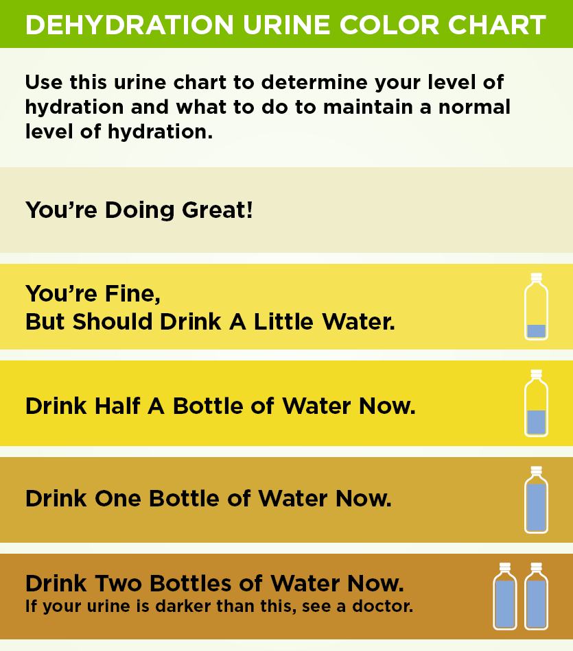 Urine colour chart that shows how dehydrated your child is